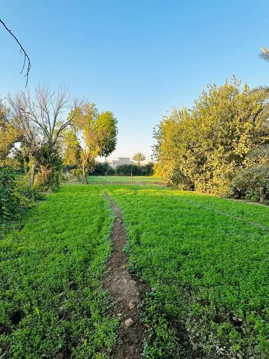 صورة من إعلان: للبيع – قطع أراضٍ في ريف دمشق (1)